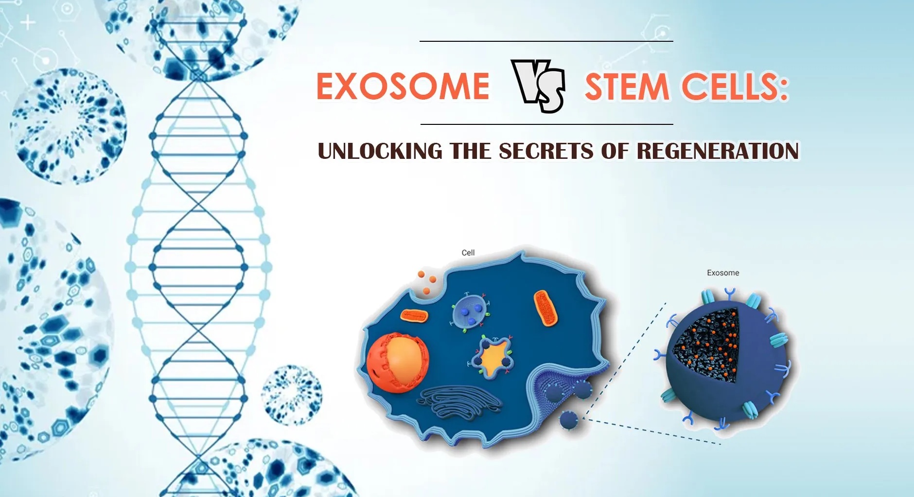 Exosome